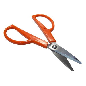 nT~@ W[͂ 150mm@yiԁF821z