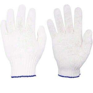 ~^jR[|[ViMITANIj@ȃpbNGRR48o@yiԁF202717z