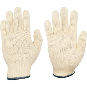 ~^jR[|[ViMITANIj@ȌR@8G@yiԁF206001z