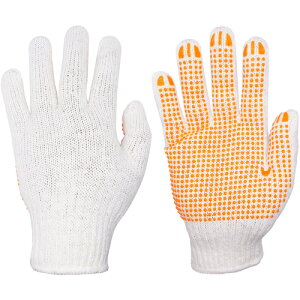 ~^jR[|[ViMITANIj@o[ׂ~ߎ܁@t[@12og@yiԁF230219z