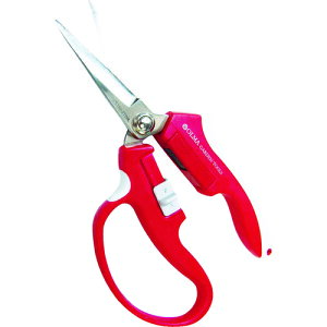 y[֑ΉzTV@musashi@iĂjnT~@I}@}Olbg@،^iԁj@yiԁFMG-2Rz