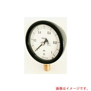 ����v��@���`���͌v�iA�^B�g�E���`�j�@150���@�`�ԁFBG10�@�i�������я��t�j�@�y�i�ԁFBG10-231 1.6MPA-IR�z