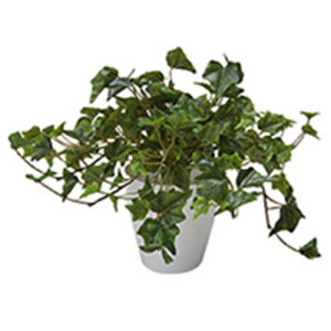 yʓrziCLiNAIKIj@lH؁iACr[j@yiԁFAG275z