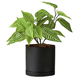 yʓrziCLiNAIKIj@lH؁i[uubVj@yiԁFAGF120TRP-Bz