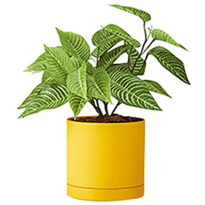 yʓrziCLiNAIKIj@lH؁i[uubVj@yiԁFAGF120TRP-Yz