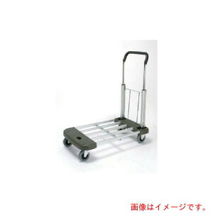 �y�ʓr��������z�i�C�L�iNAIKI�j�@��ԁ@�ύڗ�100kg�@�y�i�ԁFKZA100-DX�z