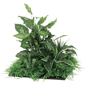 yʓrziCLiNAIKIj@XNGAO[i450pj@LOT^@gX@LOTOS@yiԁFNGR5054-0404z