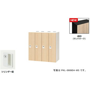 yʓrziCLiNAIKIj@p[\ibJ[i4lpj@|bP@PKL^^FThI[N@{́FubN^W900×D450×H900@yiԁFPKL-09094-BSOz