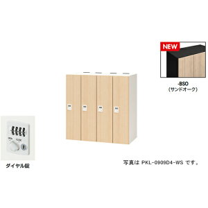 yʓrziCLiNAIKIj@p[\ibJ[i4lpj@|bP@PKL^^FThI[N@{́FubN^W900×D450×H900@yiԁFPKL-0909D4-BSOz