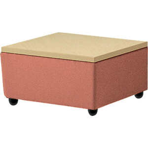 yʓrziCLiNAIKIj@R[i[e[u@yiԁFRT260C-TC-NWz