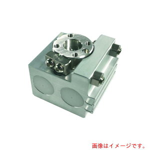 �j���[�G���[�iNew-Era�j�@�s�R���[�^���@����^�C�v�@�}�O�l�b�g�t�@��{�`�@�T�C�Y1�@�h���p�x90°�@�y�i�ԁFCTRVS-SD1-TQ�z