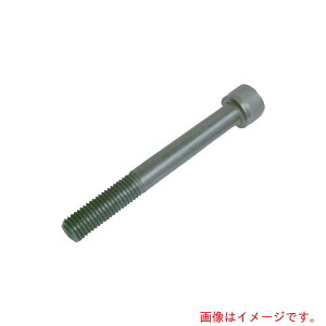 �j���[�X�g�����O�@�L���b�v�X�N�����[�@M20×75�@�y�i�ԁFCS-2075�z