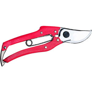 y[֑ΉzjVKLHƁ@jVKL@v200@@ԕ@200mm@yiԁFN-203Rz