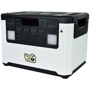 【別途送料あり】日動工業 ポータブル電源 ごっつエネル2000 【品番:LPE-E3800L】