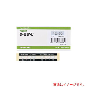 ZHƁ@T[x4_\OΉ^@st@80x@yiԁF4E-80z