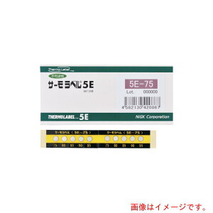 ZHƁ@T[x5_\OΉ^@st@100x@yiԁF5E-100z