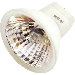 V@@SK@̌@XTS2021pnQv@yiԁF6V-15Wz