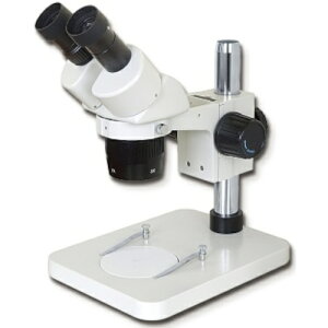 V@@SK@̌@^[bgϔ{@10{^30{@yiԁFXTDB-SP2Nz