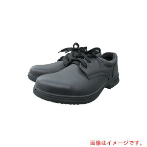 iS@JISKiSC@25D0cm@yiԁFV9000-25.0z