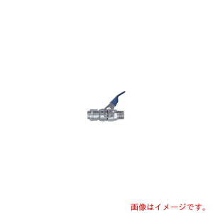 �����H��@�p�[�W�n�C�J�v���@���葤��t�T�C�YRc3�^4�i65931�j�@�y�i�ԁFPV-600SM BRASS NBR �z