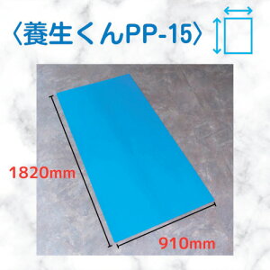 �y�ʓr��������z����{�@�{������@PP�|15�@�@1�D5×910×1820�@�y10�z�@�y�i�ԁFPP15�z
