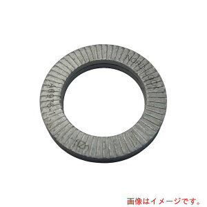 ノルトロックジャパン(NORD-LOCK) ノルトロックワッシャー デルタプロテクト NL60(10枚入) 【品番:NL60】