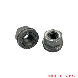 �m���g���b�N�W���p���iNORD-LOCK�j�@�m���g���b�N�R���r�i�b�g�@M16�@�y�i�ԁFNLCN M16X2�z