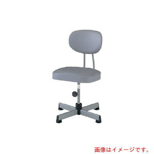 �m�[���c�C�X�@�����p�`�F�A�@�O���[�@�y�i�ԁFT-9�z