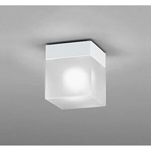 �I�[�f���b�N�@�o�X���[�����C�g �E�ߏ����C�g�@�y�i�ԁFOW 009 357WR�z