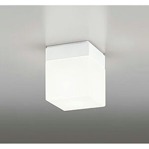 �I�[�f���b�N�@�o�X���[�����C�g �E�ߏ����C�g�@�y�i�ԁFOW 009 421LR�z