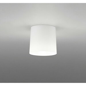 �I�[�f���b�N�@�V�[�����O���C�g�@�y�i�ԁFOL 013 006NR�z