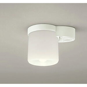 �I�[�f���b�N�@�V�[�����O���C�g�@�y�i�ԁFOL 013 379LR�z