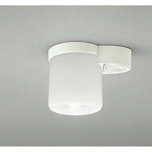 �I�[�f���b�N�@�V�[�����O���C�g�@�y�i�ԁFOL 013 379NR�z