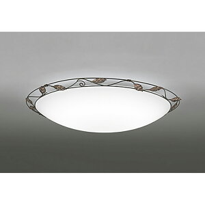 �I�[�f���b�N�@�V�[�����O���C�g�@�y�i�ԁFOL 251 170R�z