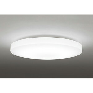 �I�[�f���b�N�@�V�[�����O���C�g�@�y�i�ԁFOL 251 217R1�z