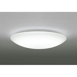 �I�[�f���b�N�@�V�[�����O���C�g�@�y�i�ԁFOL 251 269R1�z