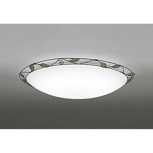 �I�[�f���b�N�@�V�[�����O���C�g�@�y�i�ԁFOL 251 455R�z