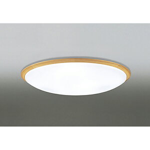 �I�[�f���b�N�@�V�[�����O���C�g�@�y�i�ԁFOL 251 623R�z