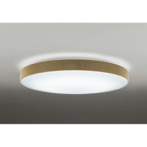 �I�[�f���b�N�@�V�[�����O���C�g�@�y�i�ԁFOL 251 674R�z