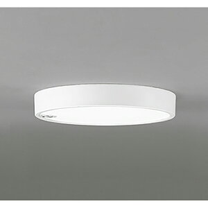 �I�[�f���b�N�@�V�[�����O���C�g�@�y�i�ԁFOL 251 734R�z