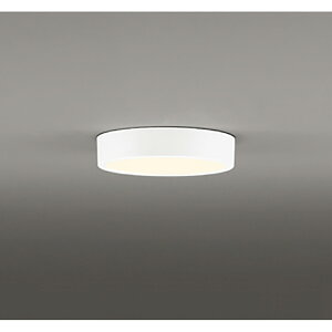 �I�[�f���b�N�@�V�[�����O���C�g�@�y�i�ԁFOL 251 751R�z