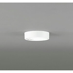 �I�[�f���b�N�@�V�[�����O���C�g�@�y�i�ԁFOL 251 780R�z