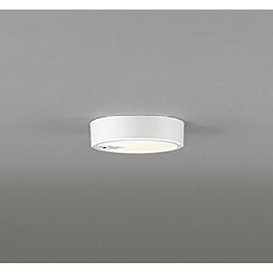 �I�[�f���b�N�@�V�[�����O���C�g�@�y�i�ԁFOL 251 781R�z