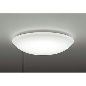 �I�[�f���b�N�@�V�[�����O���C�g�@�y�i�ԁFOL 251 896NR�z