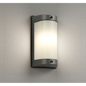 �I�[�f���b�N�@�G�N�X�e���A �|�[�`���C�g�@�y�i�ԁFOG 254 695LR�z