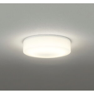 �I�[�f���b�N�@�o�X���[�����C�g�E�E�ߏꃉ�C�g�@�y�i�ԁFOG 254 874R�z