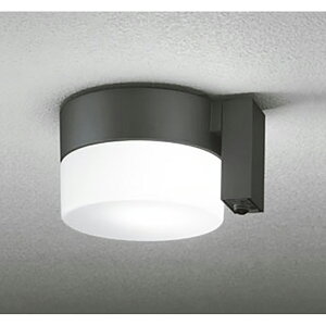 �I�[�f���b�N�@�G�N�X�e���A �|�[�`���C�g�@�y�i�ԁFOG 254 988NCR�z