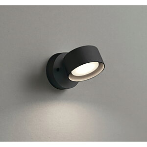 オーデリック スポットライト 【品番:OS 256 570LDR】