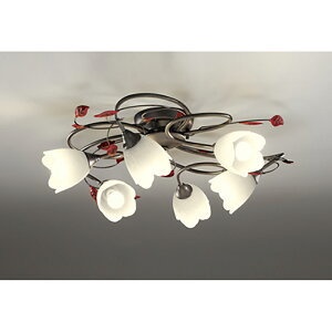 I[fbN@VfA@yiԁFOC 257 026BRz