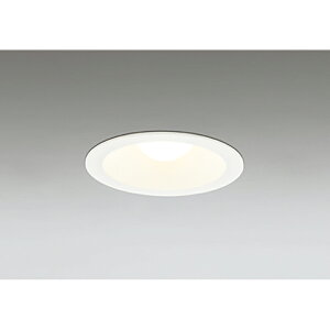 �I�[�f���b�N�@�_�E�����C�g�mS�`�n LED�d���@�I�t�z���C�g�@�y�i�ԁFOD 262 020LR�z